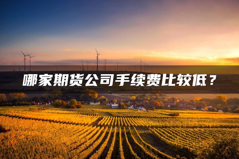 哪家期货公司手续费比较低? 哪家期货公司手续费比较低?