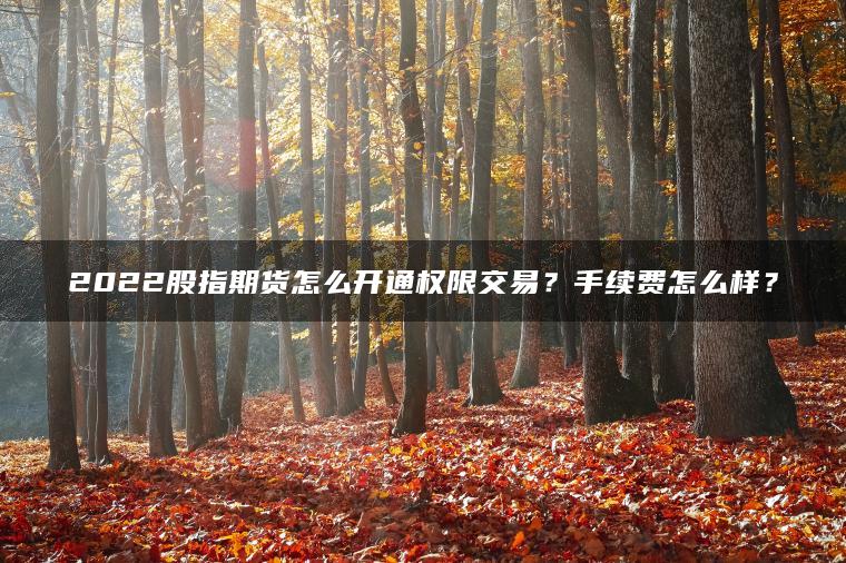 2022股指期货怎么开通权限交易？手续费怎么样？