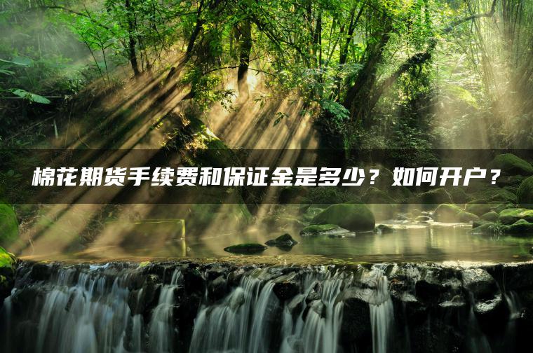棉花期货手续费和保证金是多少?如何开户? 棉花期货手续费和保证金是多少?如何开户?