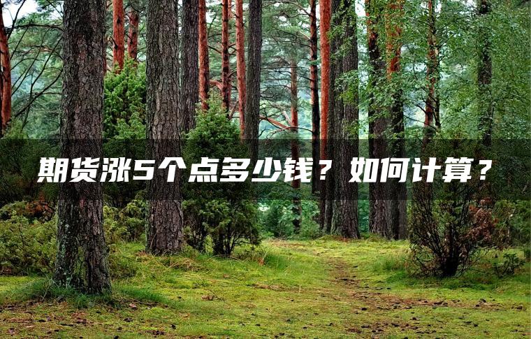 期货涨5个点多少钱?如何计算? 期货涨5个点多少钱?如何计算?