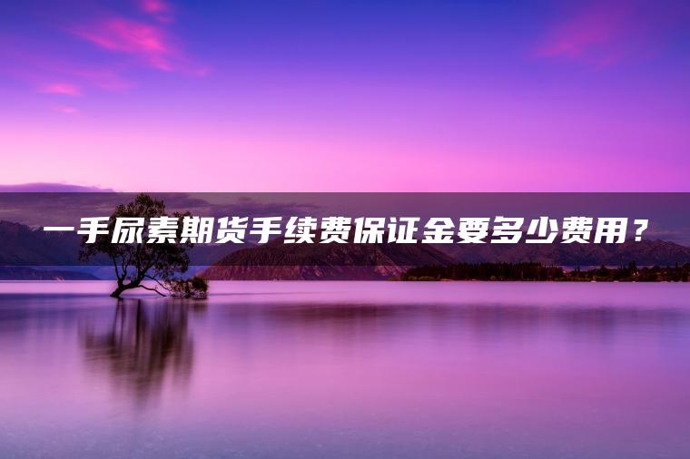 一手尿素期货手续费保证金要多少费用？