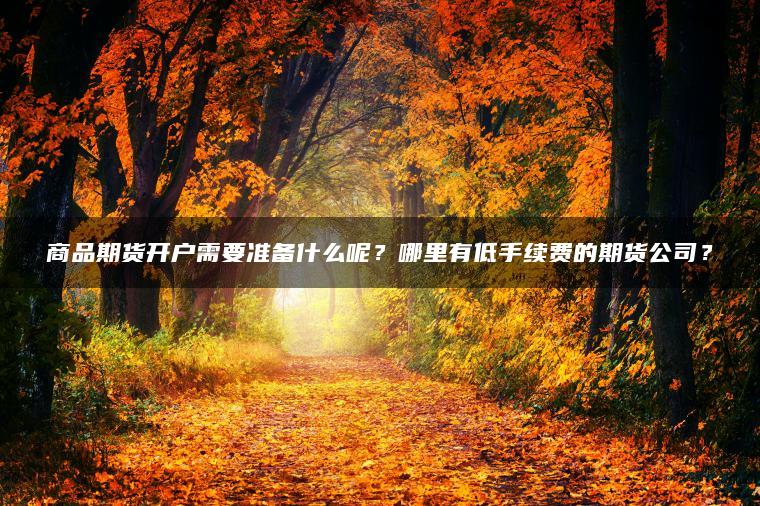 商品期货开户需要准备什么呢？哪里有低手续费的期货公司？