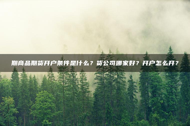 期商品期货开户条件是什么？货公司哪家好？开户怎么开？