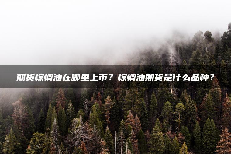 期货棕榈油在哪里上市?棕榈油期货是什么品种? 期货棕榈油在哪里上市?棕榈油期货是什么品种?