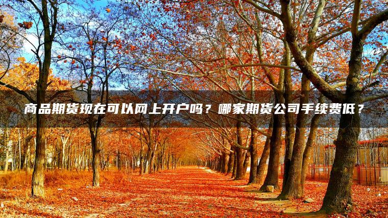 商品期货现在可以网上开户吗？哪家期货公司手续费低？