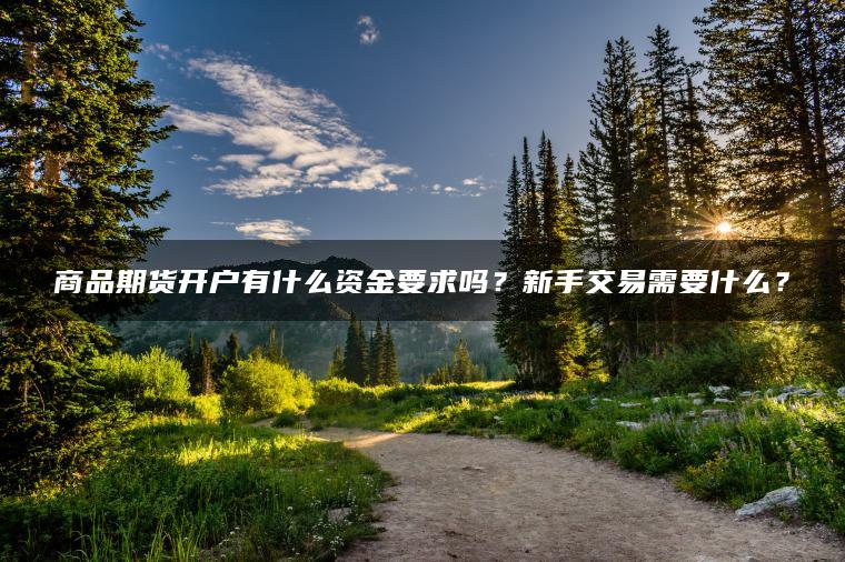 商品期货开户有什么资金要求吗？新手交易需要什么？