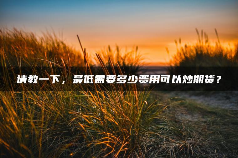 请教一下,最低需要多少费用可以炒期货? 请教一下,最低需要多少费用可以炒期货?