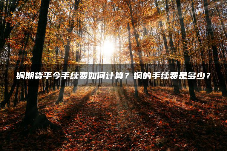 铜期货平今手续费如何计算?铜的手续费是多少? 铜期货平今手续费如何计算?铜的手续费是多少?