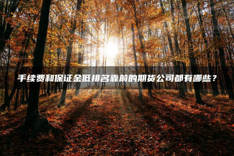 手续费和保证金低排名靠前的期货公司都有哪些？