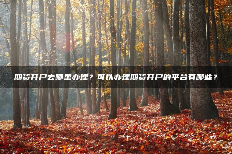 期货开户去哪里办理？可以办理期货开户的平台有哪些？