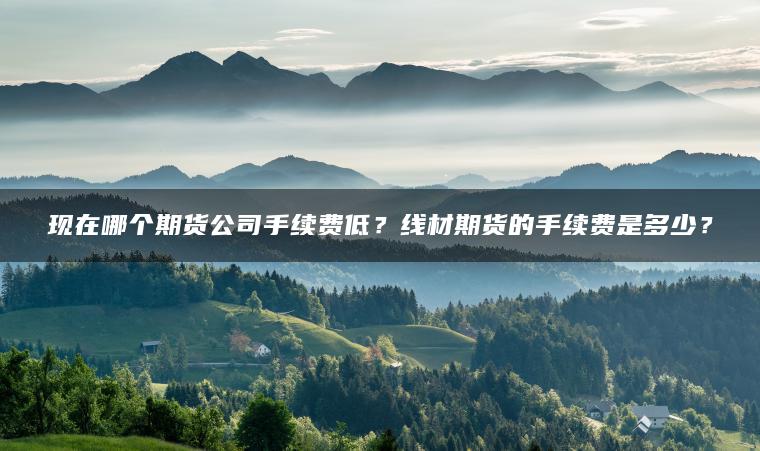 现在哪个期货公司手续费低?线材期货的手续费是多少? 现在哪个期货公司手续费低?线材期货的手续费是多少?