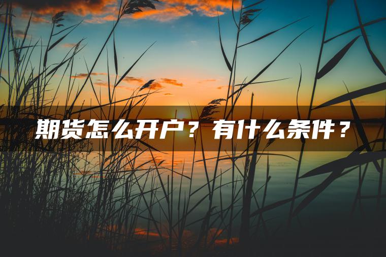 期货怎么开户?有什么条件? 期货怎么开户?有什么条件?