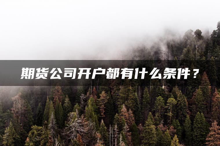 期货公司开户都有什么条件？