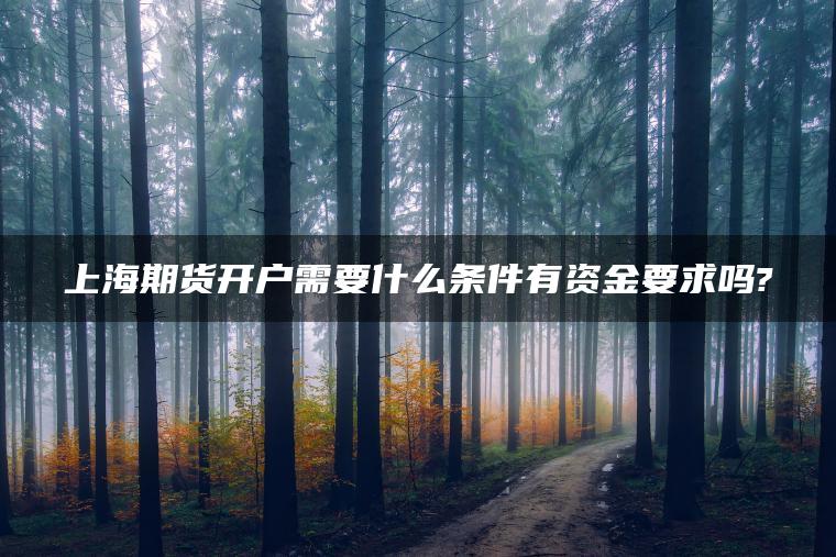上海期货开户需要什么条件有资金要求吗? 上海期货开户需要什么条件有资金要求吗?