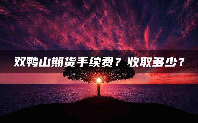 双鸭山期货手续费？收取多少？