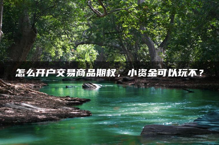 怎么开户交易商品期权，小资金可以玩不？