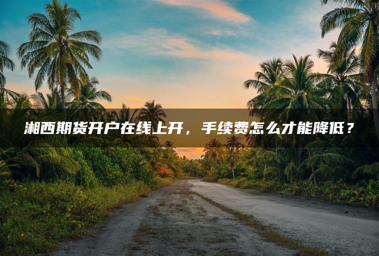 湘西期货开户在线上开，手续费怎么才能降低？