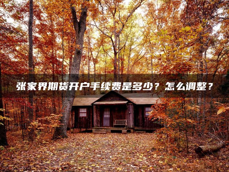 张家界期货开户手续费是多少？怎么调整？