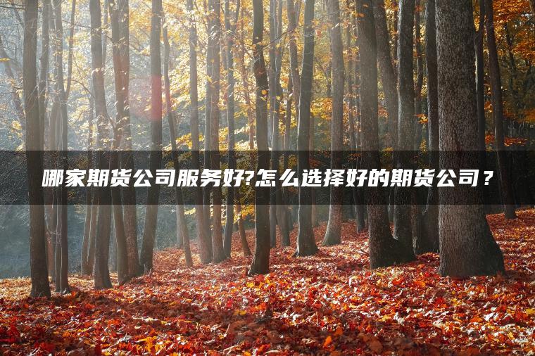 哪家期货公司服务好?怎么选择好的期货公司？