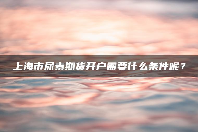 上海市尿素期货开户需要什么条件呢？