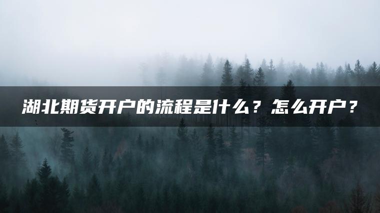 湖北期货开户的流程是什么?怎么开户? 湖北期货开户的流程是什么?怎么开户?