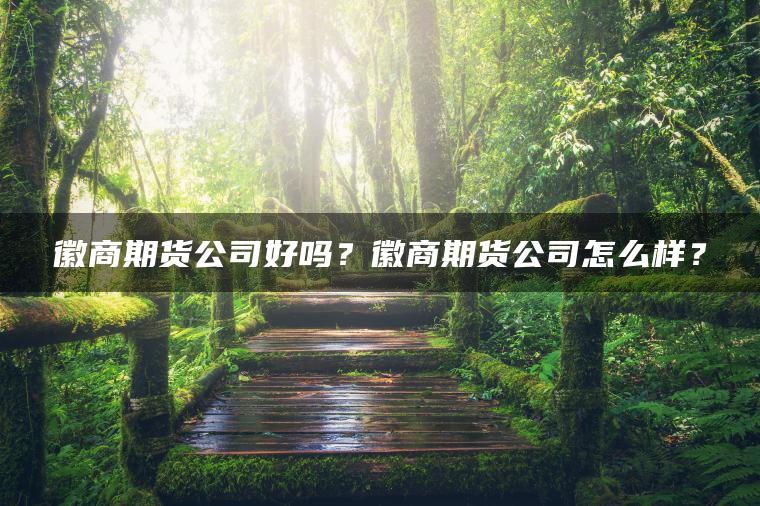 徽商期货公司好吗?徽商期货公司怎么样? 徽商期货公司好吗?徽商期货公司怎么样?