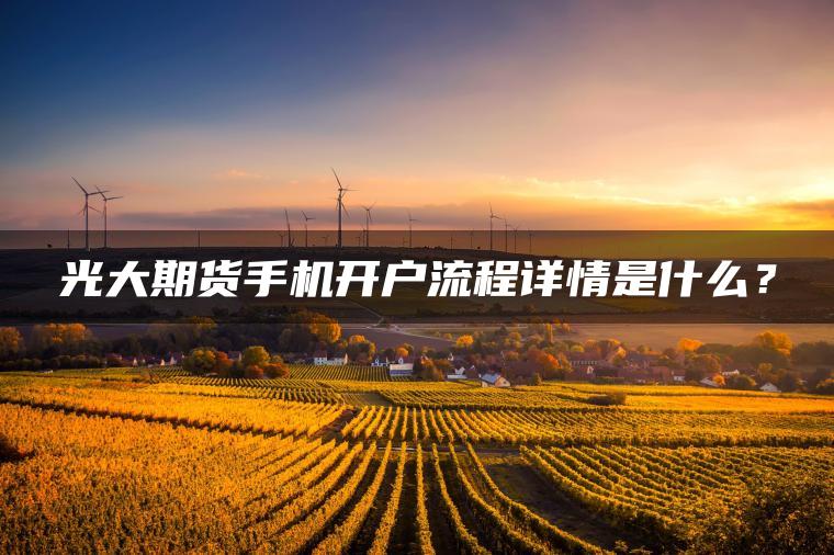 光大期货手机开户流程详情是什么？