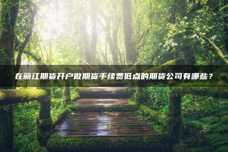 在丽江期货开户做期货手续费低点的期货公司有哪些？