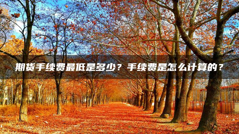 期货手续费最低是多少？手续费是怎么计算的？