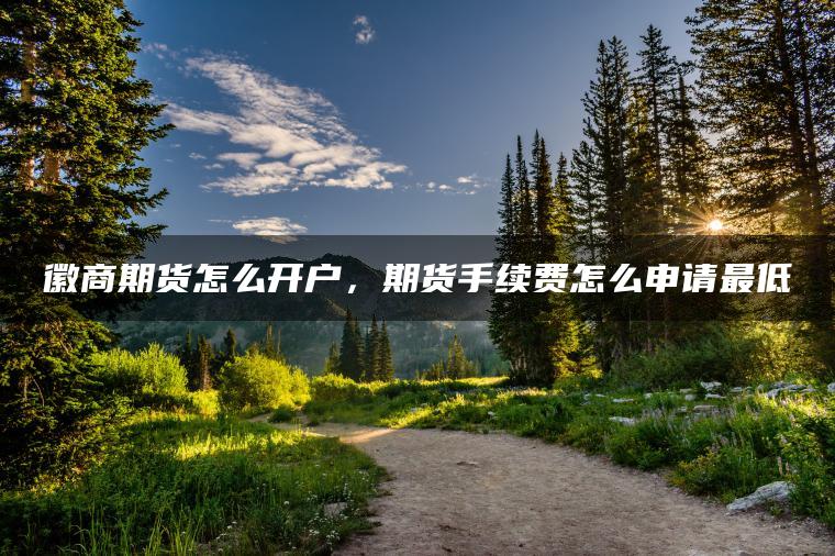 徽商期货怎么开户,期货手续费怎么申请最低 徽商期货怎么开户,期货手续费怎么申请最低
