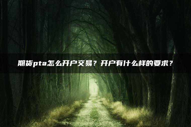 期货pta怎么开户交易？开户有什么样的要求？
