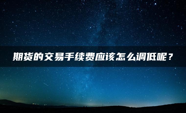 期货的交易手续费应该怎么调低呢？