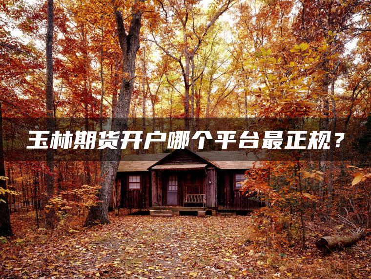 玉林期货开户哪个平台最正规？