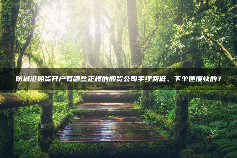 防城港期货开户有哪些正规的期货公司手续费低、下单速度快的？