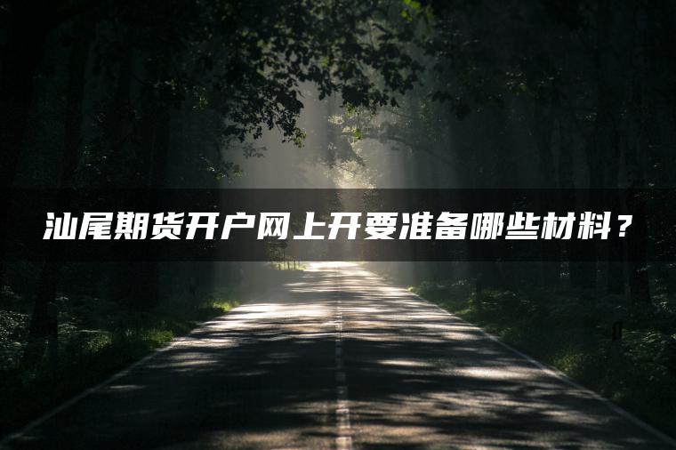 汕尾期货开户网上开要准备哪些材料？