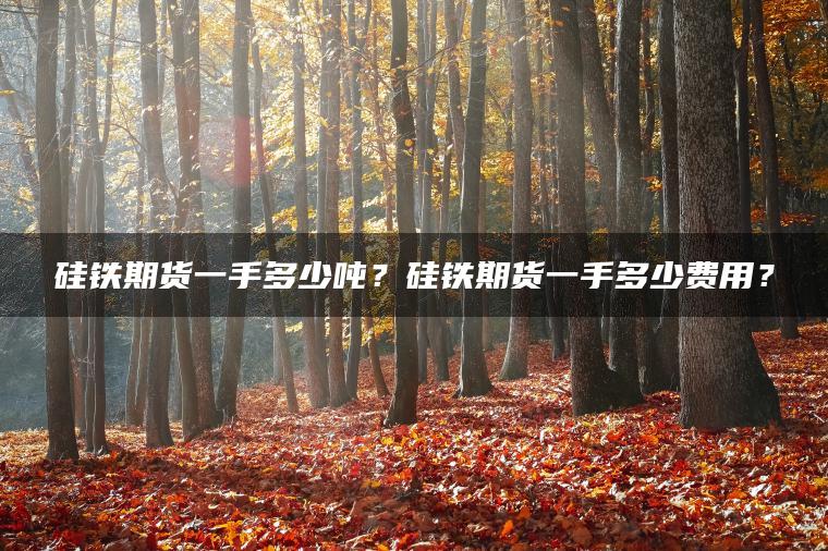 硅铁期货一手多少吨？硅铁期货一手多少费用？
