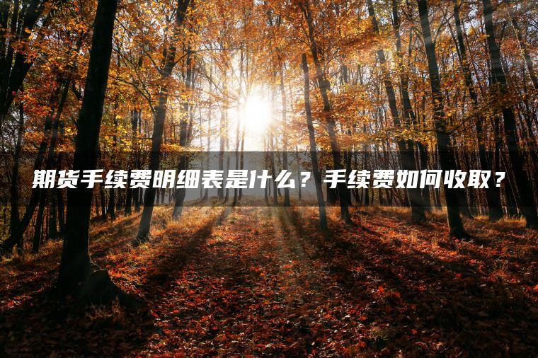 期货手续费明细表是什么?手续费如何收取? 期货手续费明细表是什么?手续费如何收取?