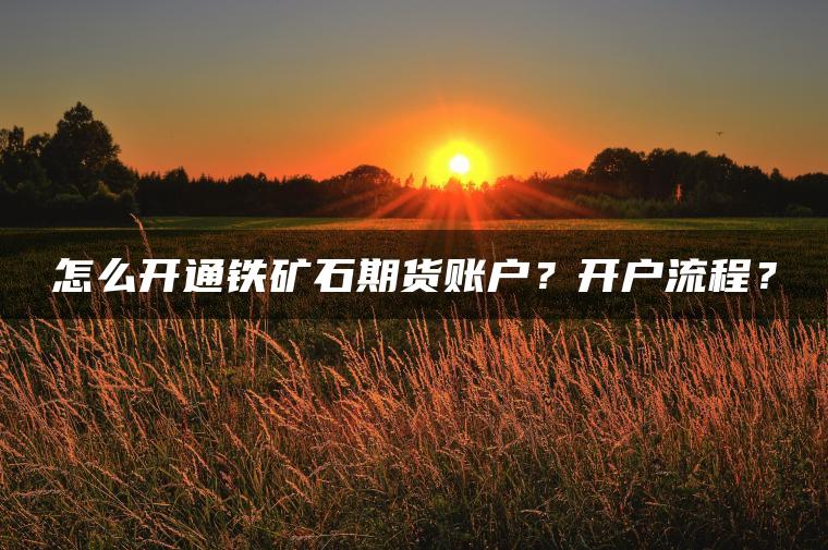 怎么开通铁矿石期货账户？开户流程？