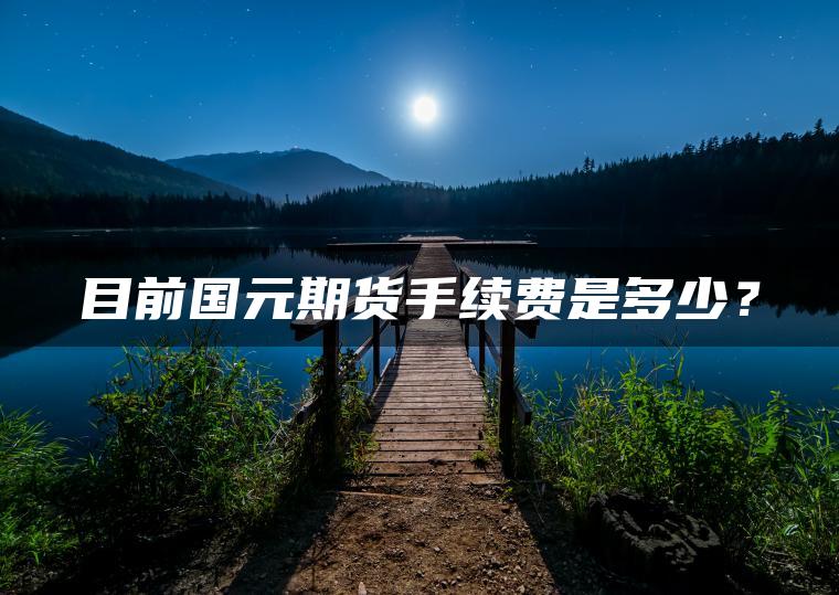 目前国元期货手续费是多少？