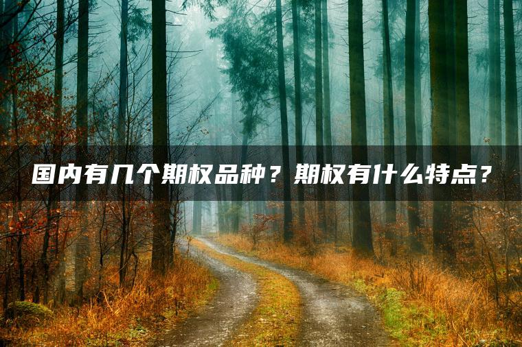 国内有几个期权品种？期权有什么特点？