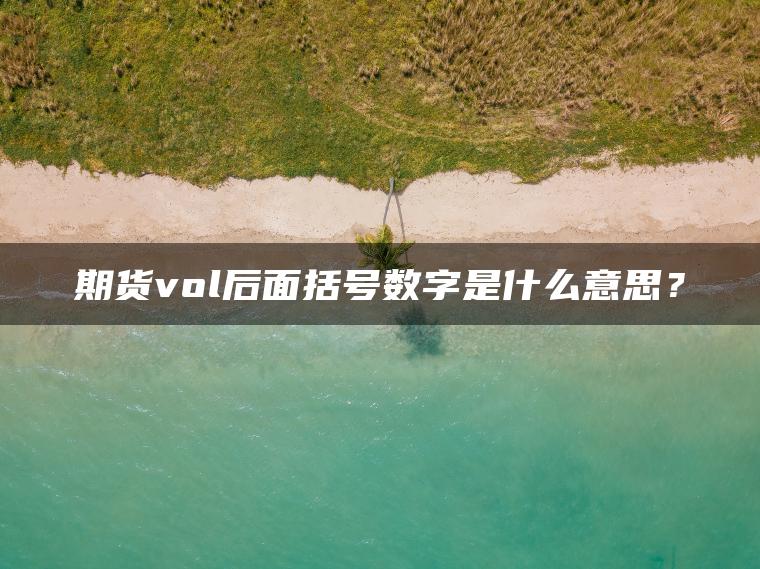 期货vol后面括号数字是什么意思？