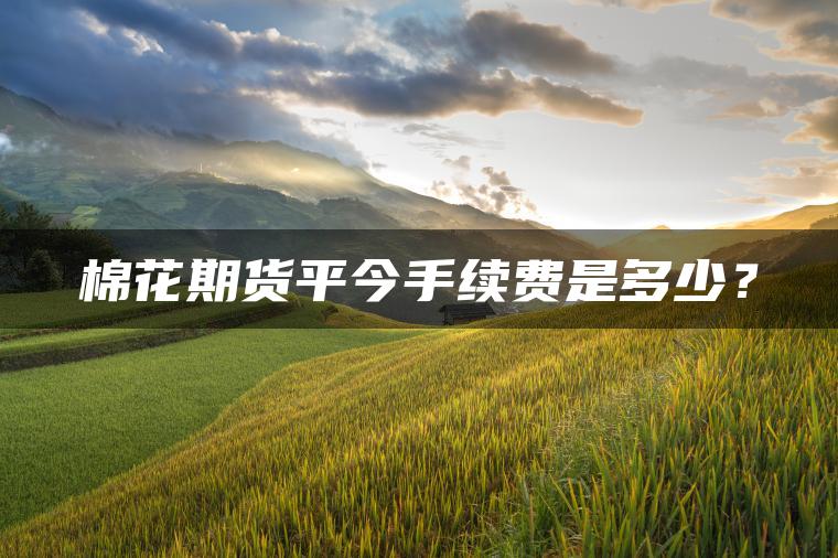 棉花期货平今手续费是多少？
