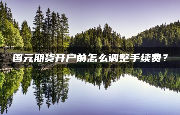 国元期货开户前怎么调整手续费？