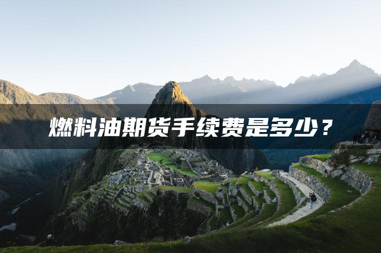 燃料油期货手续费是多少？