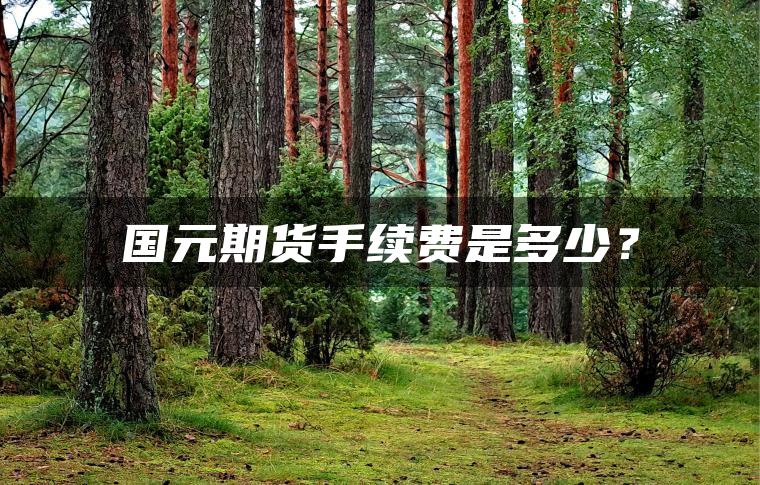 国元期货手续费是多少？