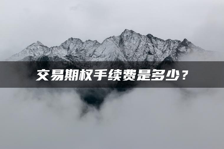 交易期权手续费是多少？