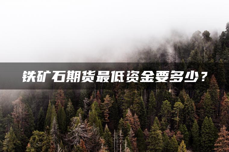 铁矿石期货最低资金要多少？