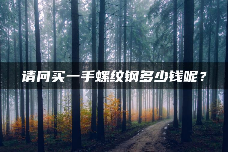 请问买一手螺纹钢多少钱呢？