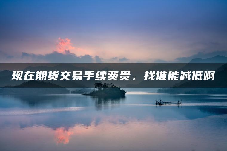 现在期货交易手续费贵，找谁能减低啊