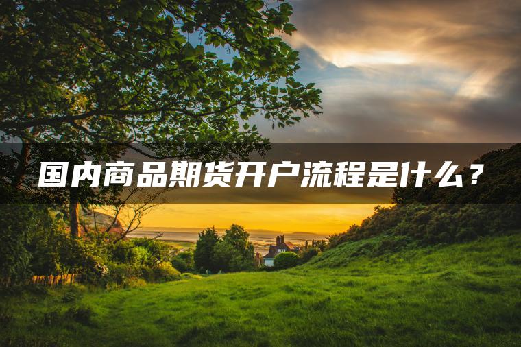 国内商品期货开户流程是什么？